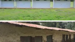 Mana barumsa haaromsame