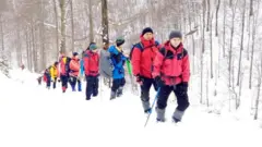 Пошуки в Карпатах