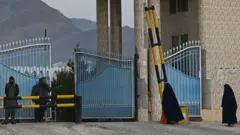 دانشگاه