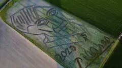 Picasso