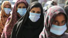 کشمیر
