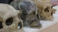 పుర్రెలు