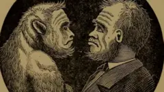 చింపాంజీ-మనుషుల హైబ్రిడ్