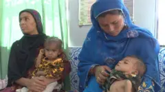 نیوٹریشن سروے