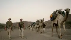 ሰራዊት ኣሜሪካ