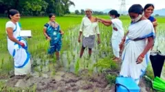 పొలంలో రైతుకు టీకా వేస్తున్న ఫొటో