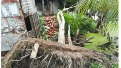 ঘূর্ণিঝড়, আম্পান, বাংলাদেশ।