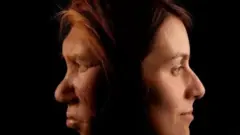 Le mariage avec Homo sapiens pourrait être la raison qui a conduit à l'extinction des Néandertaliens