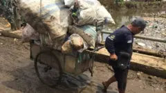 بهداشت