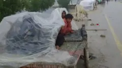 سیلاب متاثرین