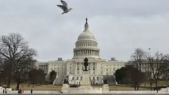سینیٹ
