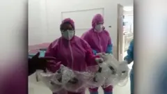 အီရန်မှာ ကိုရိုနာဗိုင်းရပ်စ်ကြောင့် ၁၀ မိနစ်တိုင်း လူ ၁ ယောက်သေဆုံး