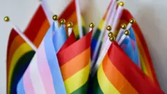 Transgender Pride Flags