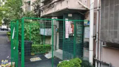新冠疫情：從香港新加坡到上海，死亡率如何影響防疫策略