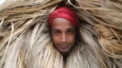 গত দুই বছর ধরে পাট চাষ করে লাভবান হচ্ছেন বাংলাদেশের কৃষকরা