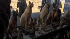 جانب من الكشف