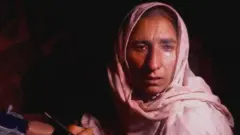 شمشاد