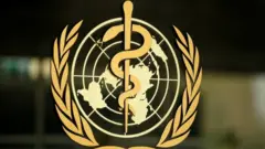 WHO logo