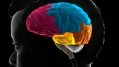 Мия қисмлари