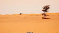 રણ