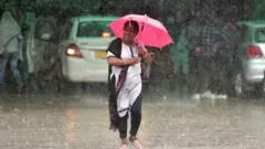 ગુજરાતમાં વરસાદ