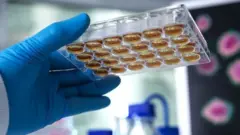 नई एंटी-बायोटिक ने जगाईं नई उम्मीदें