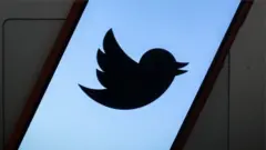 Tviter logo na ekranu mobilnog telefona