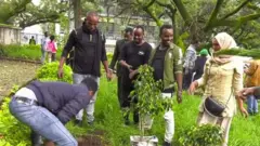 အီသီယိုးပီးယားမှာ တနေ့တည်း အပင်သန်းရာချီ စိုက်ခဲ့