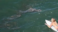 нефть в океане