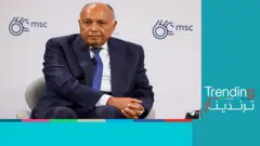 سامح شكري وزير الخارجية المصري