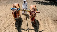 விவசாயம்.