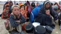 افغانستان، وچکالي، خوراکي توکي