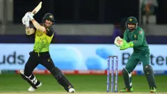 డేవిడ్ వార్నర్