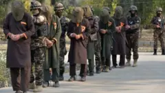 Mayakan Taliban
