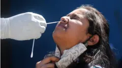 भारतमा कोभिड परीक्षण