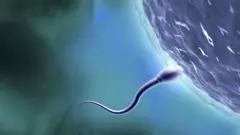 விந்தனு