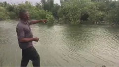 Aroloye Numbere for Mangrove