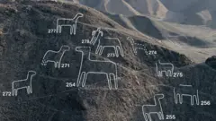Los geoglifos descubiertos incluyen humanos, camélidos, aves, orcas, felinos y serpientes.