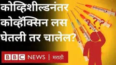 कोरोना लस कॉकटेल