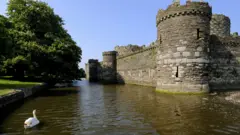 Замок Бомарис, крепостной ров и лебедь.