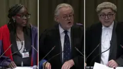 ICJ lawyers