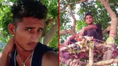చెట్టు మీద క్వారెంటైన్
