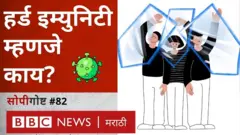 हर्ड इम्युनिटी