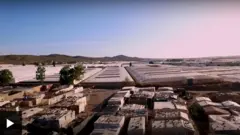 Cueilleur de fruit en Espagne: "si vous ne voulez pas travailler comme un esclave, vous êtes viré"