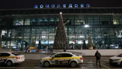 В "Домодедово" создали оперативный штаб для улаживания ситуации