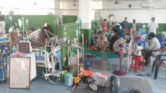 भेरी अस्पताल