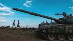 Meeshaa waraanaa guddaa