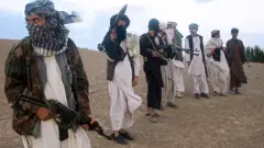 Mayakan Taliban na Afghanistan