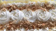 پینا پیشن