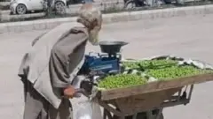 Kandahari Old Man